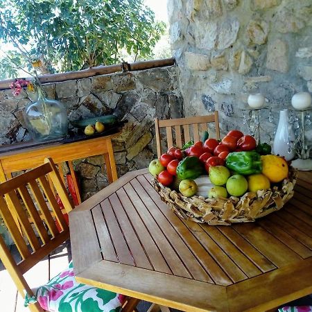 Casa Do Trapo 호텔 Sardoal 외부 사진