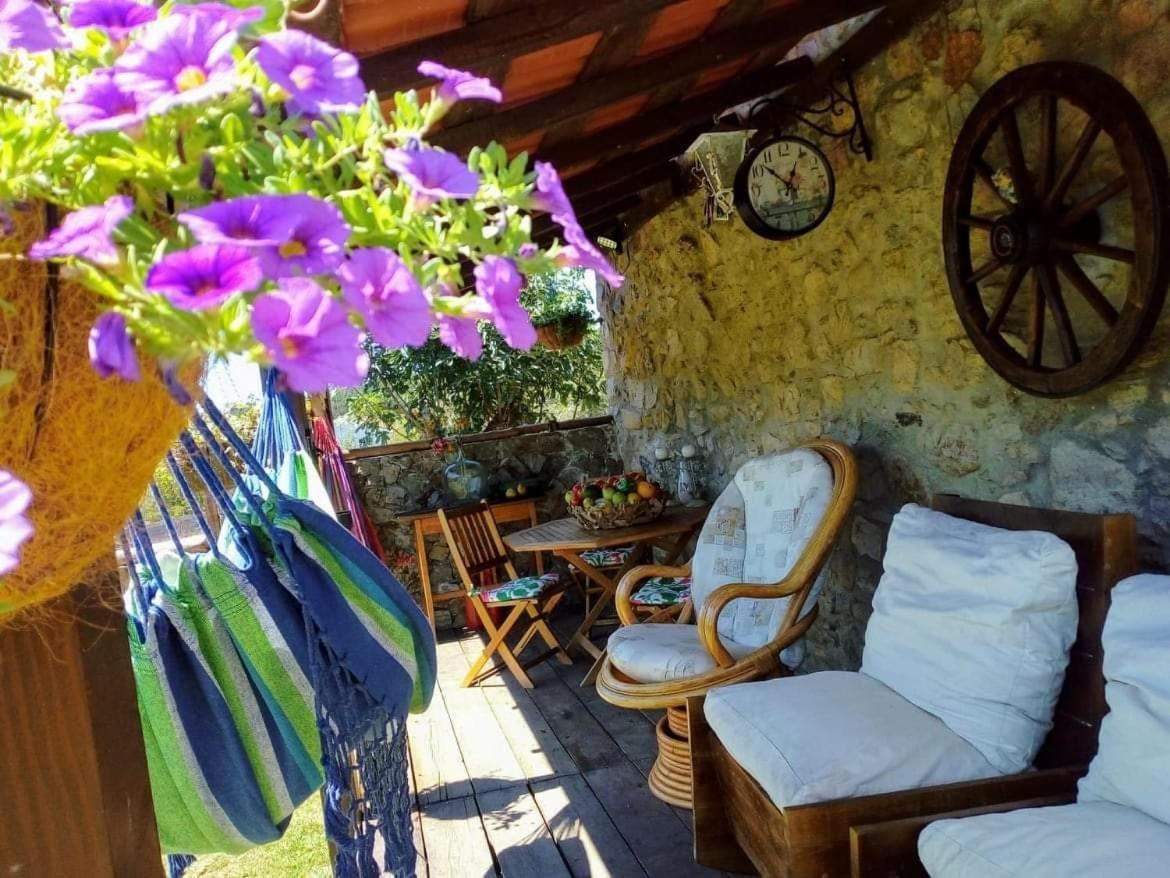 Casa Do Trapo 호텔 Sardoal 외부 사진